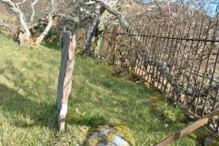 Knochan burial ground (6)